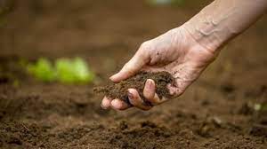  Soil temperature and moisture 